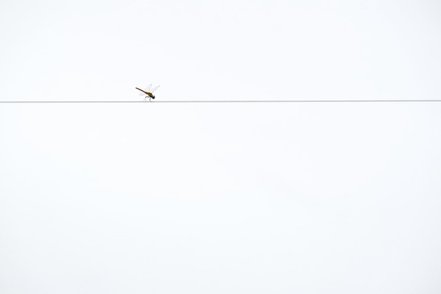 タイマーと砂時計が置かれたミニマルなデスク