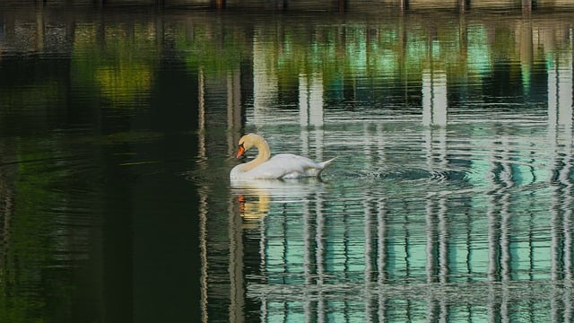 無料登録フォームの画面イメージ シンプルな入力項目